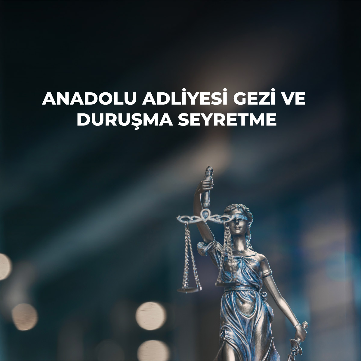 anadolu-adliyesi-gezi-pc